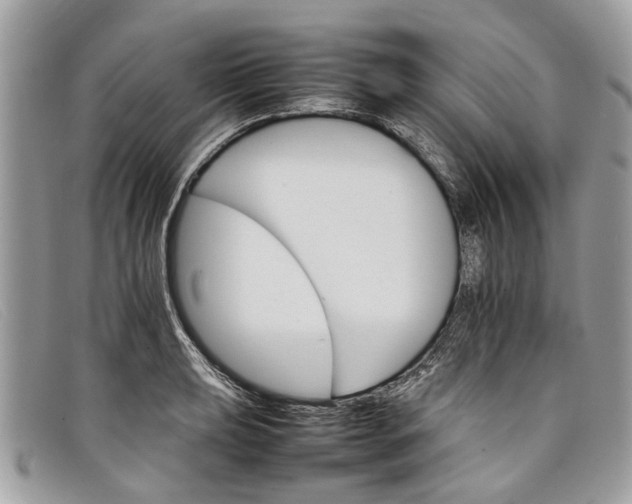 X0000098041039200804111341