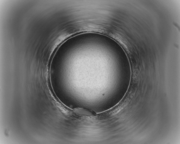 X0000098041040200804111341