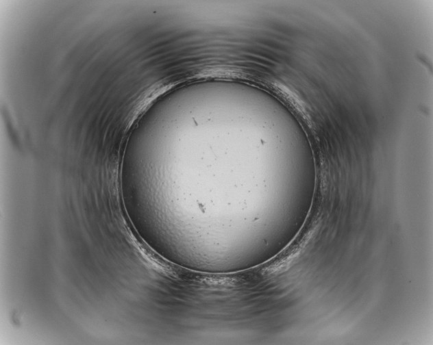 X0000098041041200804111341