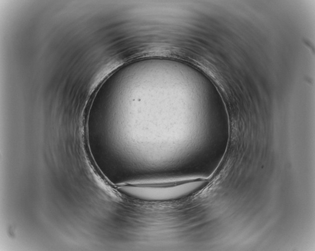 X0000098041042200804111341