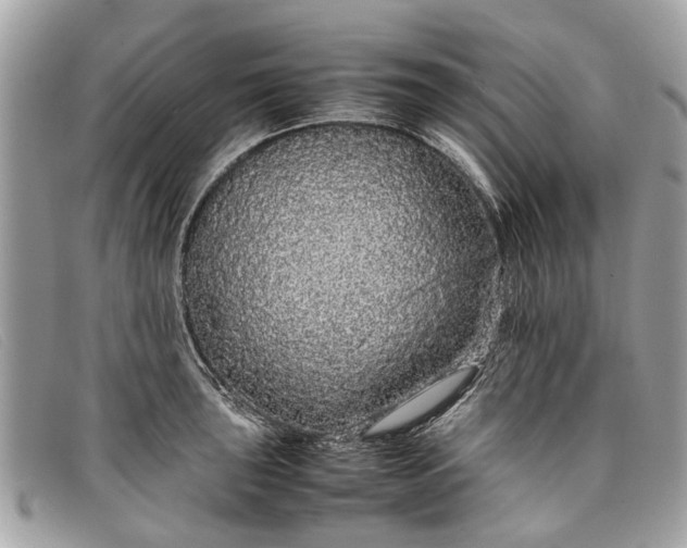 X0000098041043200804111341