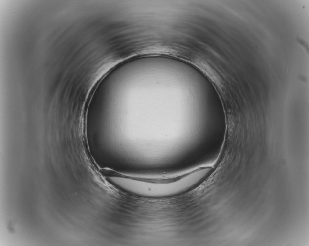 X0000098041044200804111341