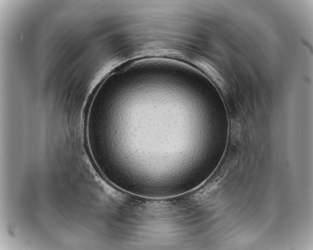 X0000098041046200804111341