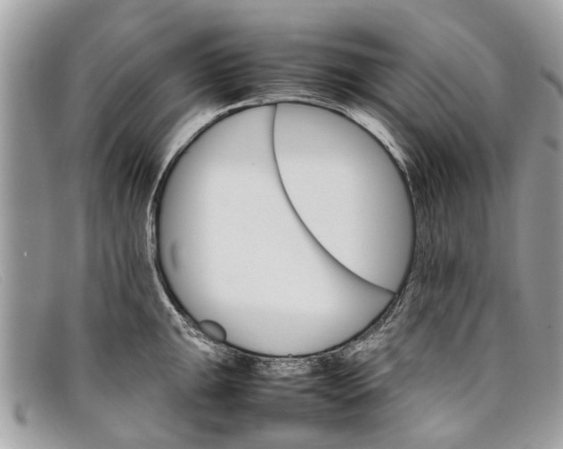 X0000098041047200804111341