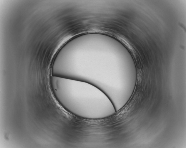 X0000098041048200804111341