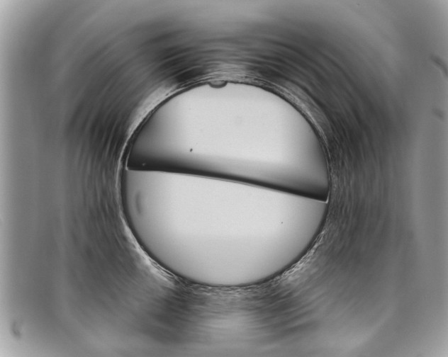 X0000098041050200804111341