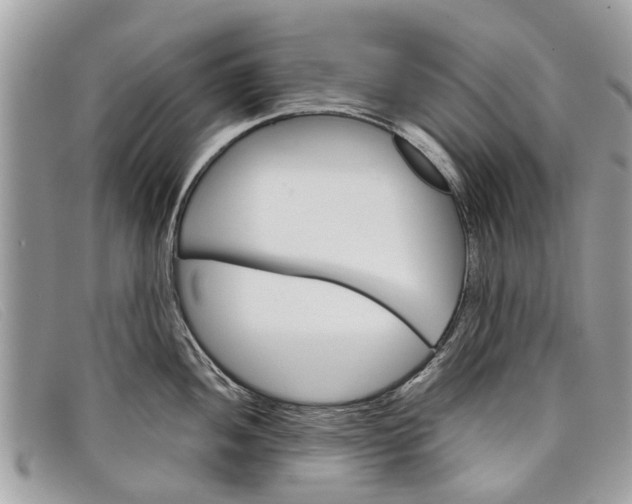 X0000098041052200804111341