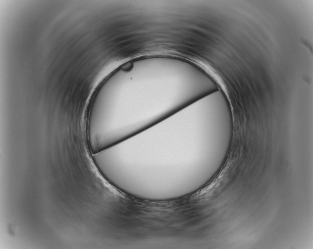 X0000098041053200804111341