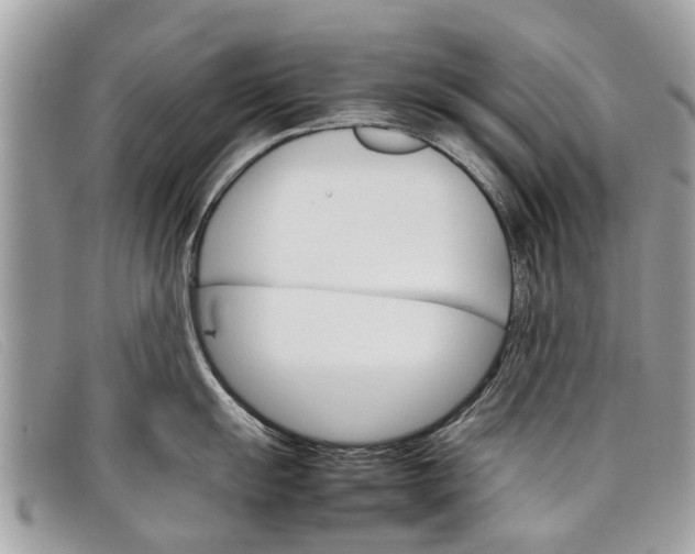 X0000098041055200804111341