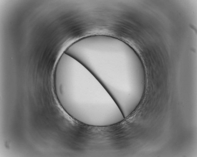 X0000098041056200804111341