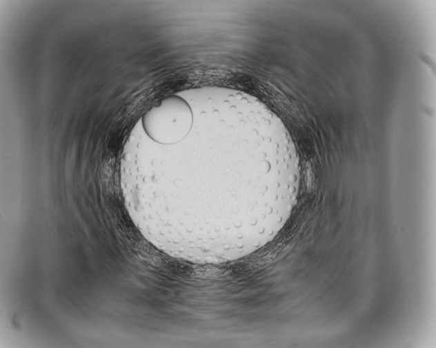 X0000098041059200804111340