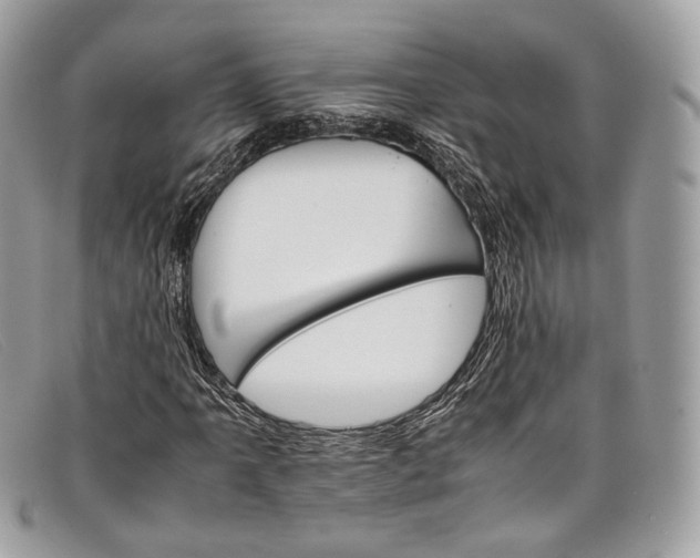X0000098041061200804111340