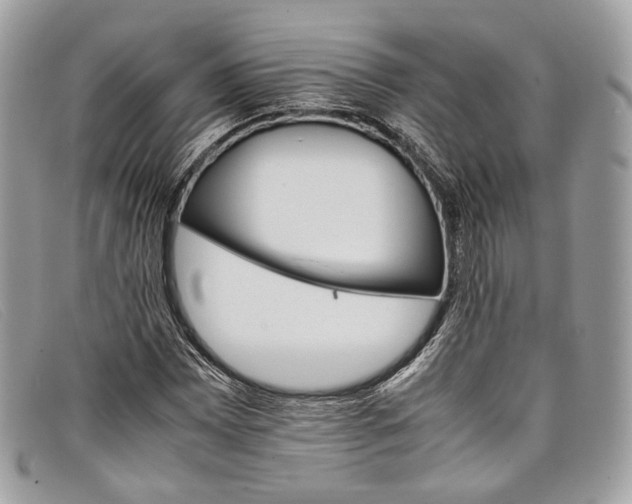 X0000098041065200804111340