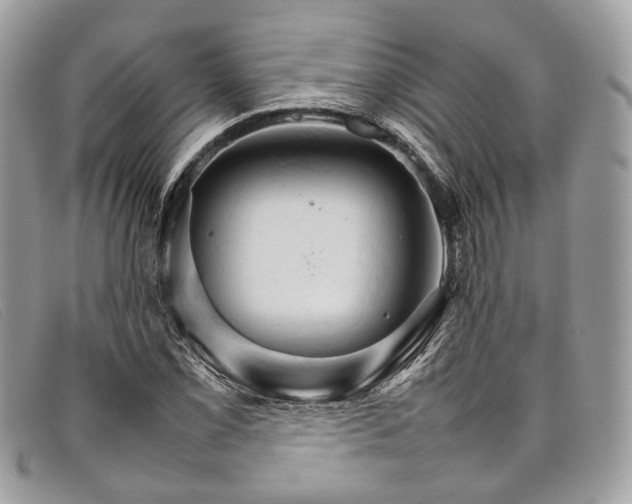 X0000098041069200804111340