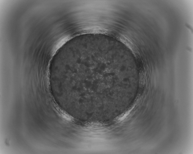 X0000098041071200804111340