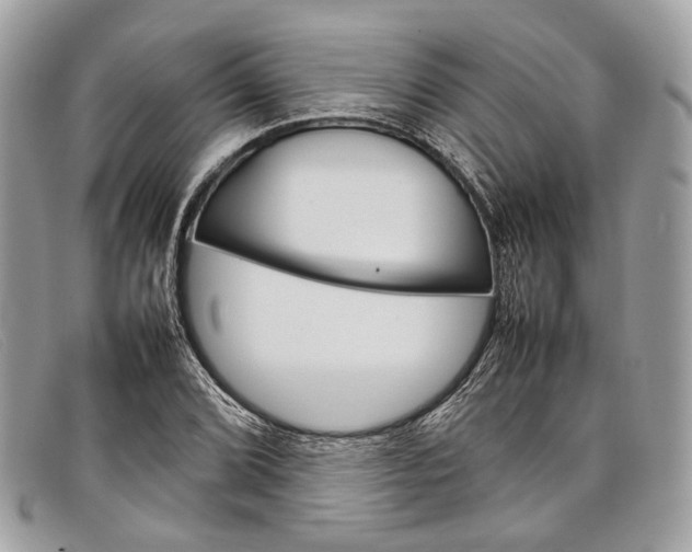 X0000098041072200804111340