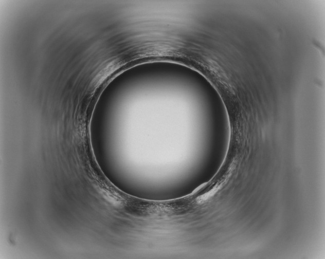 X0000098041073200804111340