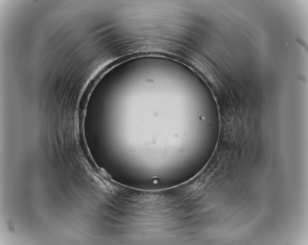 X0000098041076200804111340