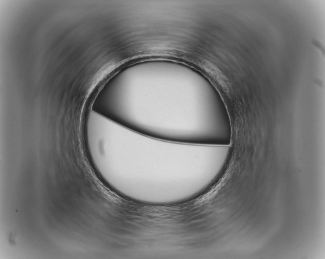 X0000098041077200804111340