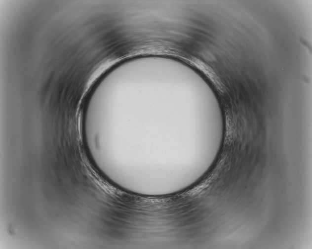 X0000098041078200804111340