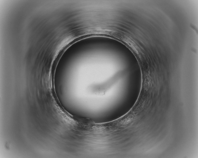 X0000098041080200804111340