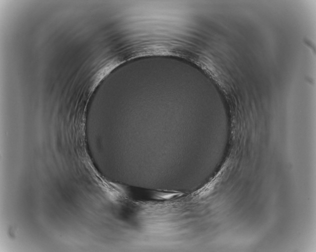 X0000098041081200804111340
