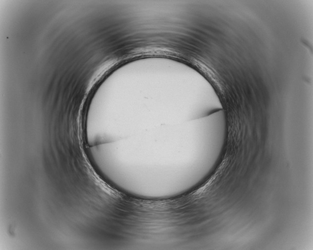 X0000098041082200804111340