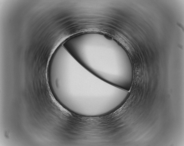 X0000098041084200804111340
