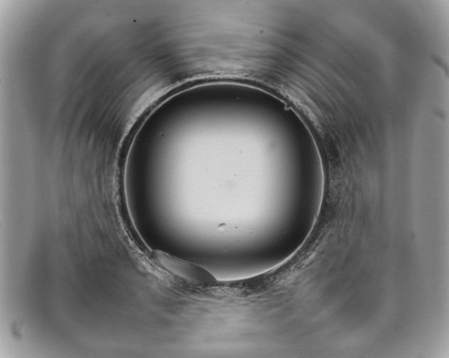 X0000098041085200804111340