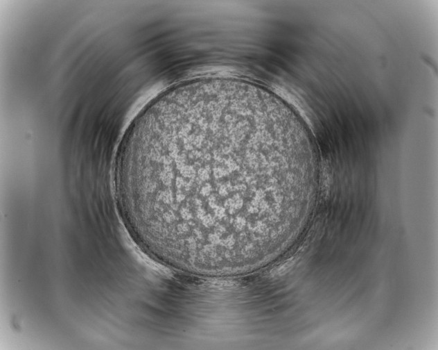 X0000098041090200804111340