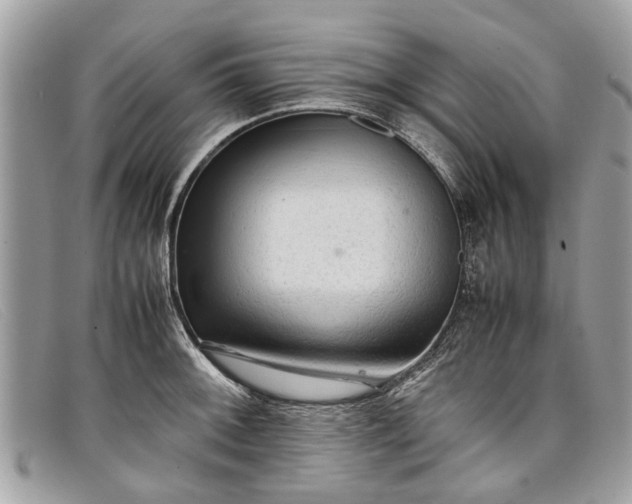 X0000098041092200804111340