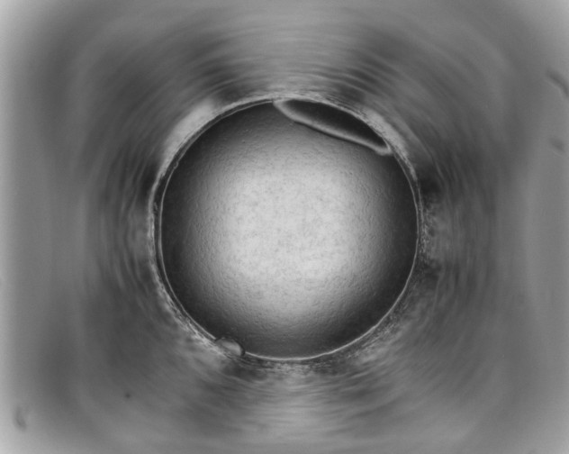 X0000098041096200804111340