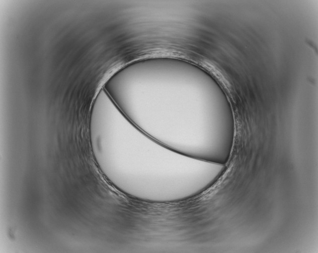 X0000098041097200804111340