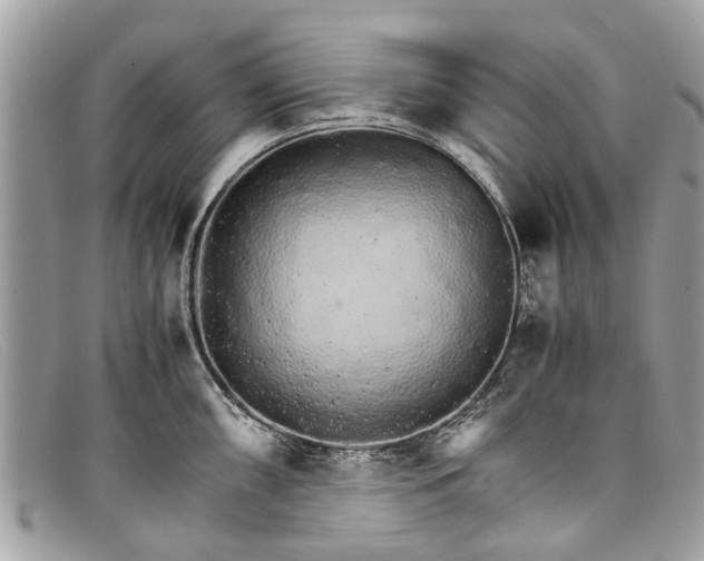 X0000098041098200804111340