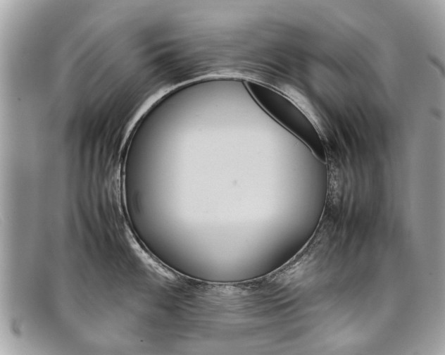 X0000098041100200804111340