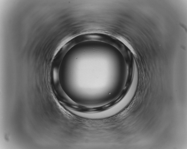 X0000098041101200804111340