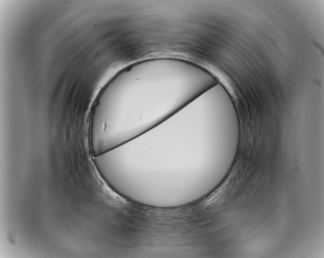 X0000098041102200804111340