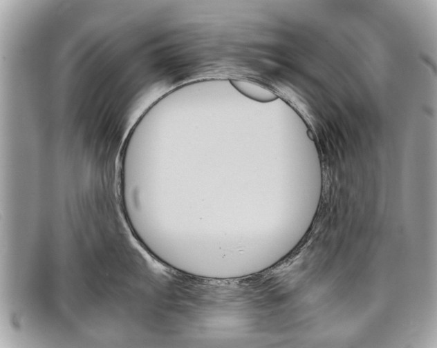 X0000098041103200804111340