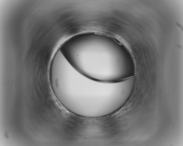 X0000098041104200804111340