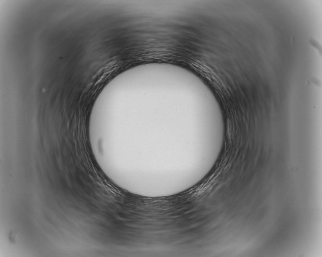 X0000098041107200804111339