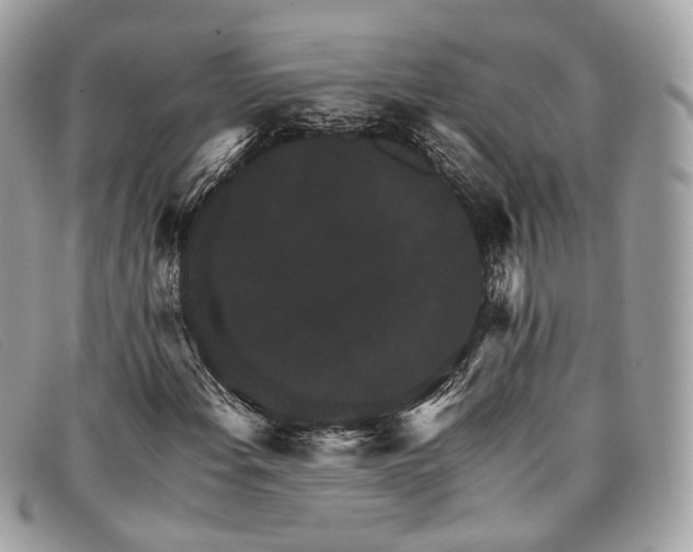X0000098041108200804111339