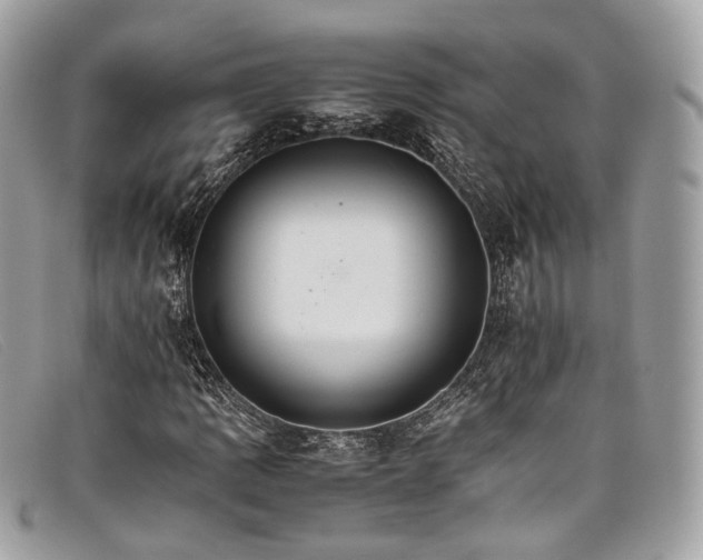 X0000098041109200804111339