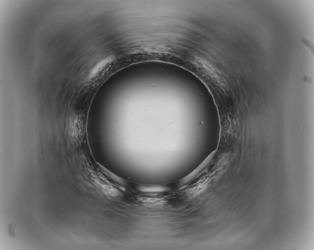 X0000098041110200804111339