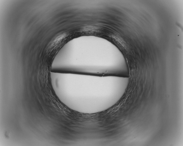 X0000098041111200804111339