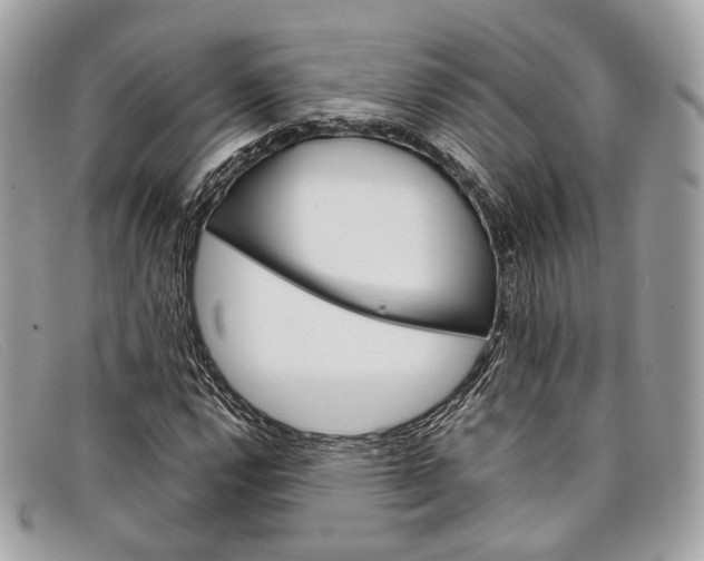 X0000098041112200804111339
