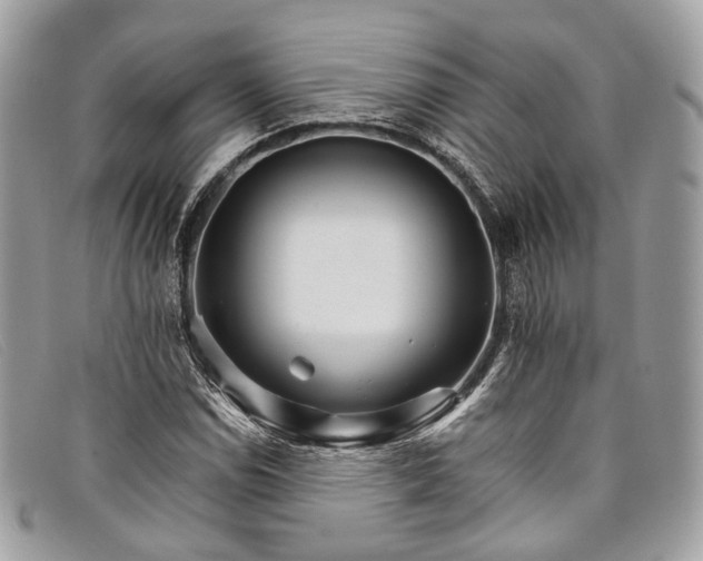 X0000098041114200804111339