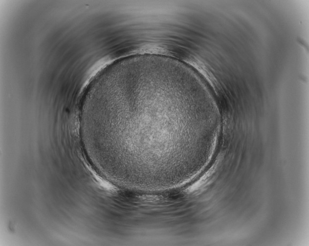 X0000098041115200804111339