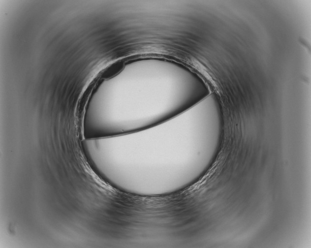 X0000098041116200804111339