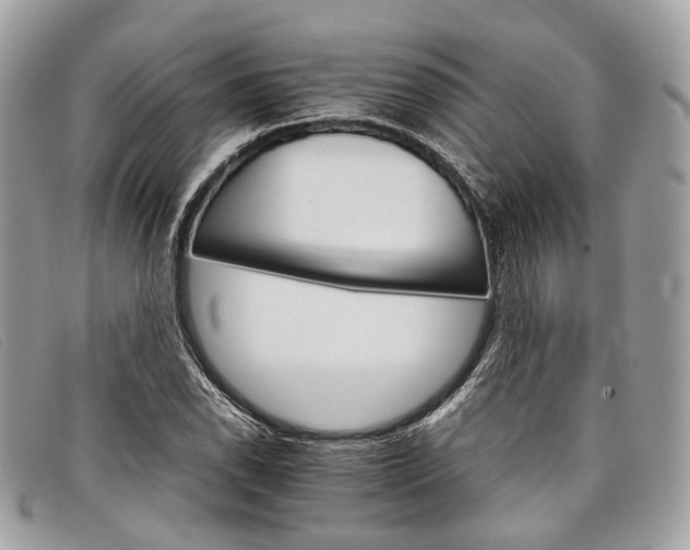 X0000098041118200804111339