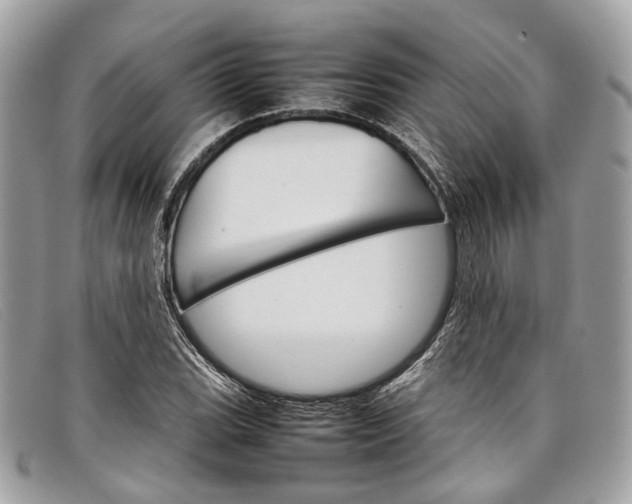 X0000098041119200804111339